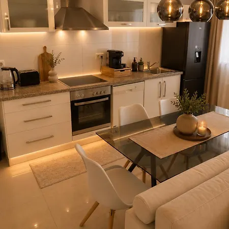 Elegantes Rheinblick-apartment In Ruhiger Lage *